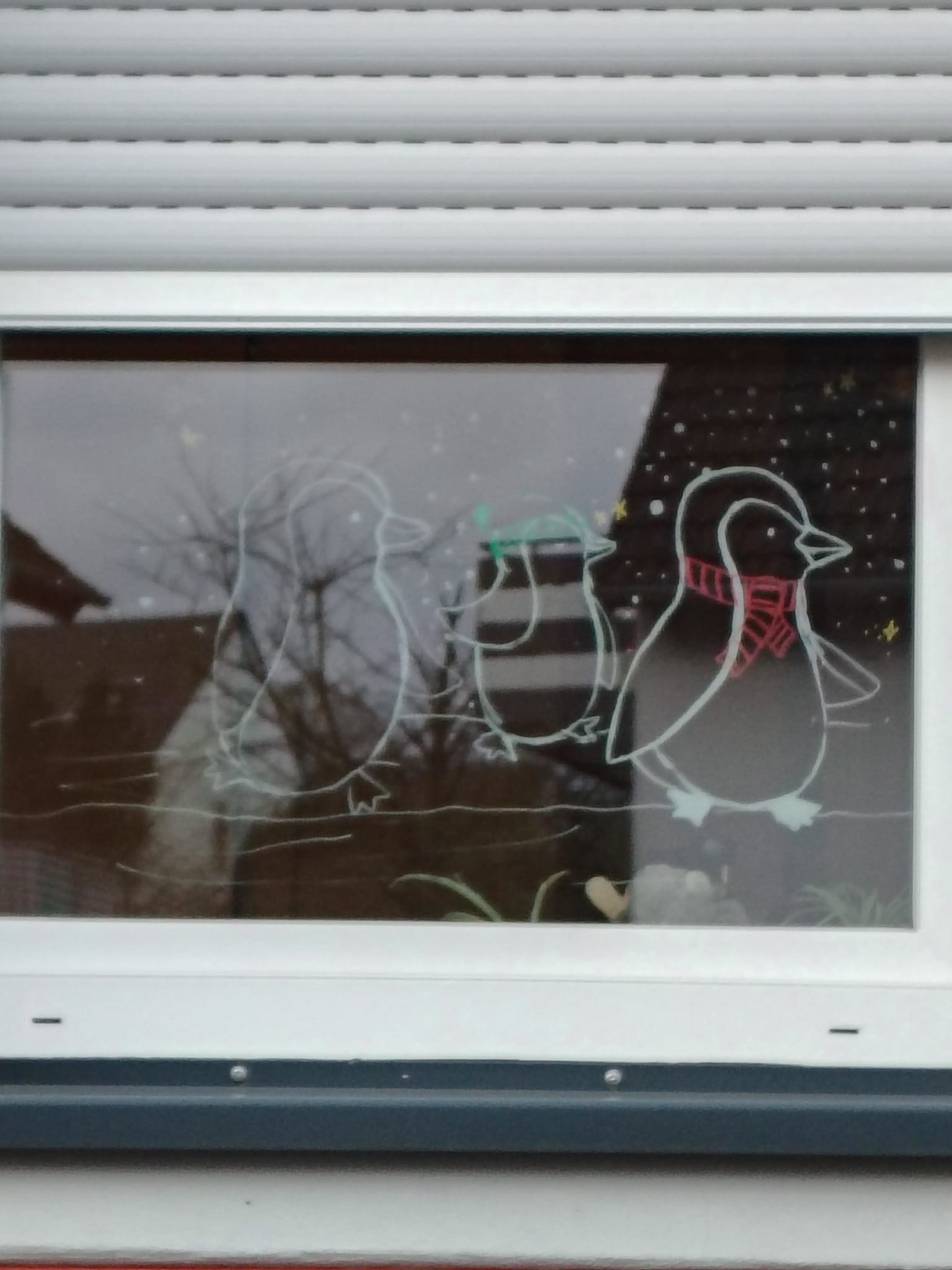 Pinguine auf Wanderschaft